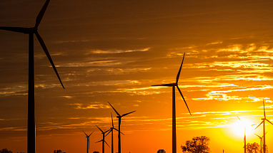 Wind turbines in a field with sun setting in the background